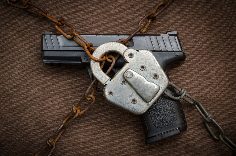 locked gun firearms control